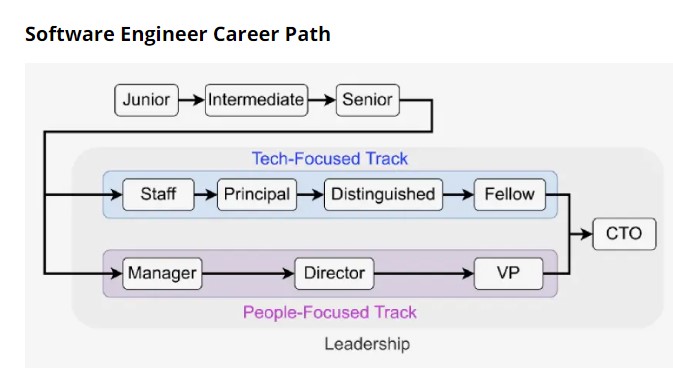 What is the future of software engineering?